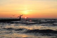 Holzbuhne Sonnenaufgang mit M&ouml;wen