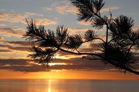 Sonnenaufgang Kellenhusen S&uuml;dstrand